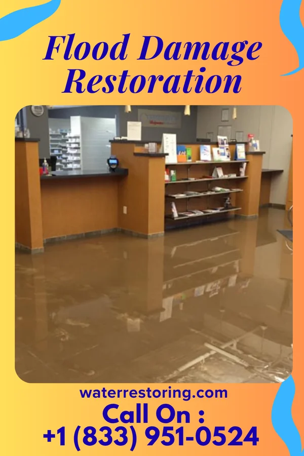 Flood Damage Restoration in Bensenville, IL
