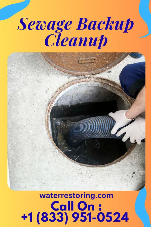 Sewage Backup Cleanup in Bensenville, IL